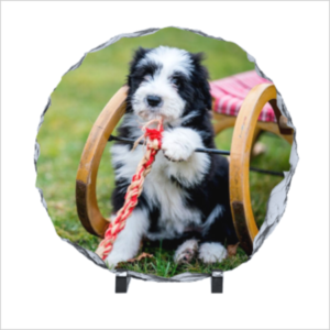 Leisteen - rond 15cm